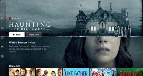 netfix.gif